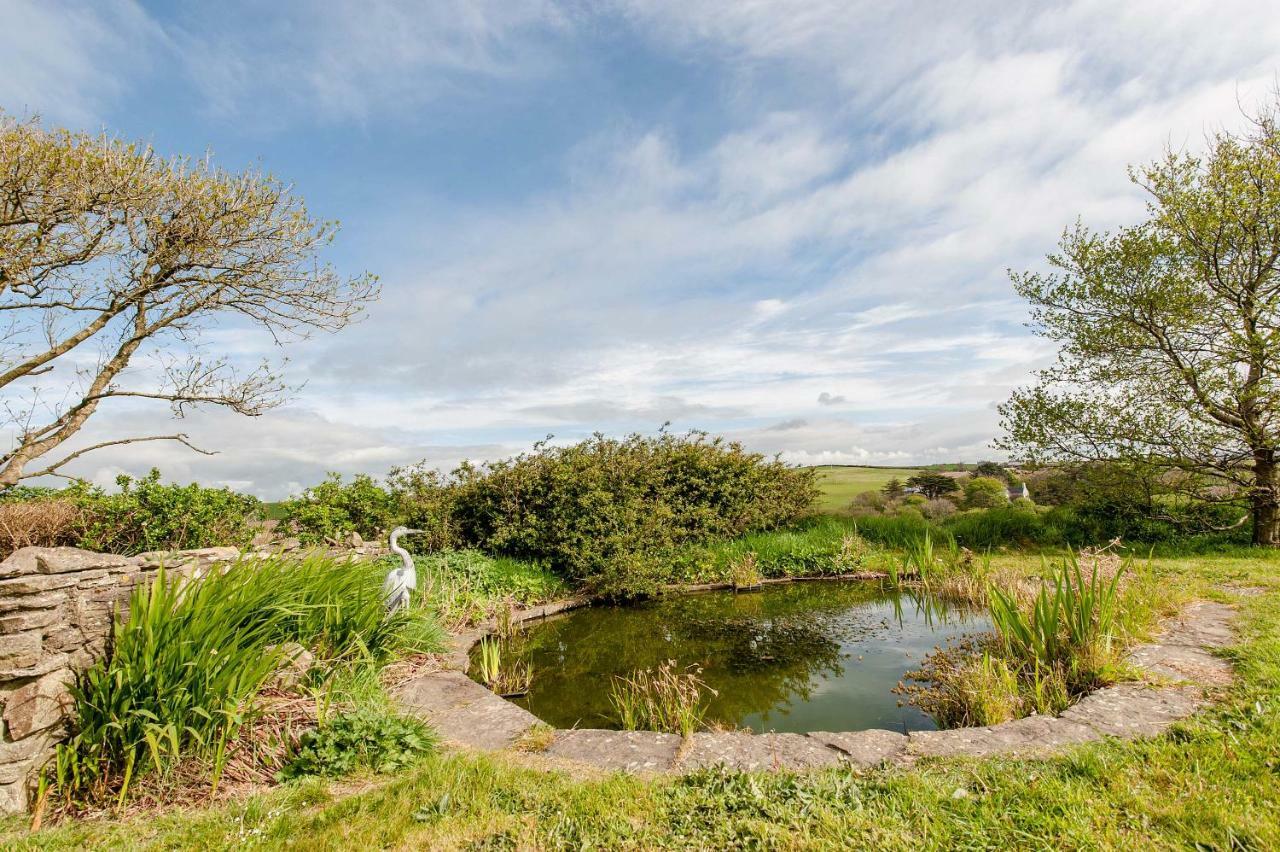 The Wild Atlantic Hideaway Lägenhet Clonakilty Exteriör bild